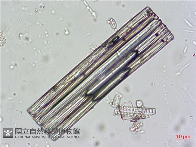 登錄號:A00004664藏品圖，第5張