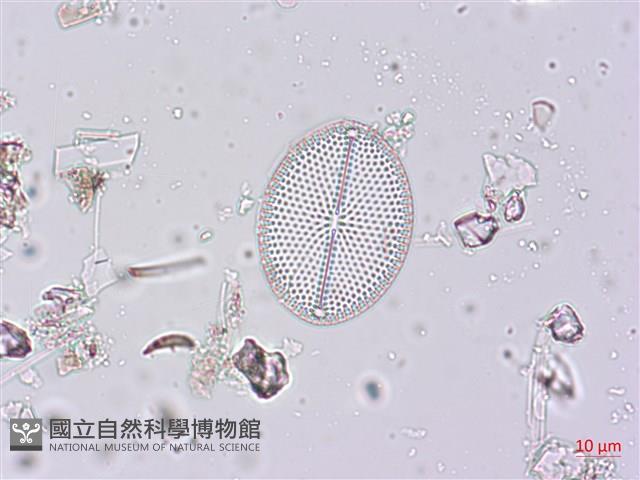 登錄號:A00004504藏品圖，第5張