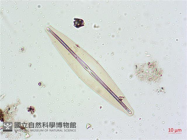 登錄號:A00004627藏品圖，第5張