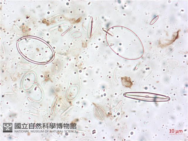 登錄號:A00004517藏品圖，第5張