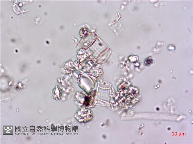 登錄號:A00004647藏品圖，第5張