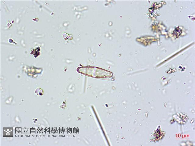 登錄號:A00004667藏品圖，第5張