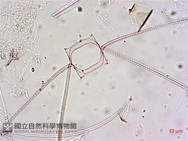 登錄號:A00004655藏品圖，第4張