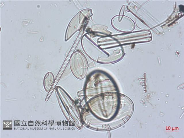 登錄號:A00004525藏品圖，第5張