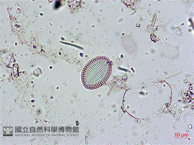 登錄號:A00004575藏品圖，第5張