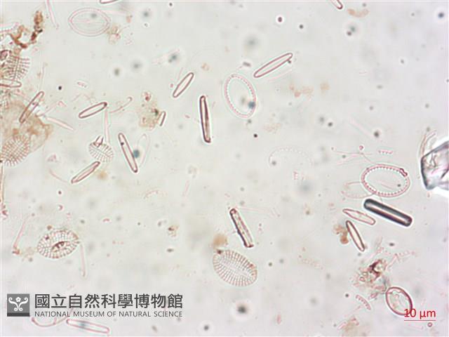 登錄號:A00004515藏品圖，第5張