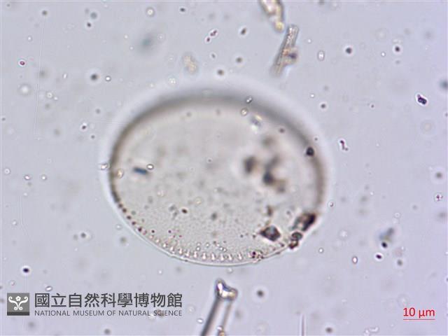 登錄號:A00004645藏品圖，第5張