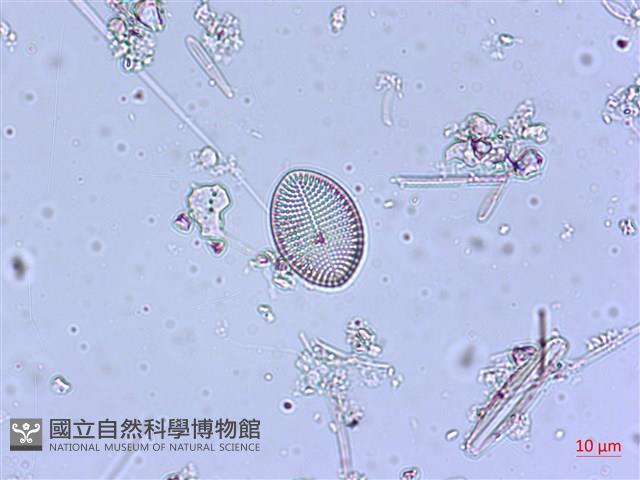 登錄號:A00004545藏品圖，第5張