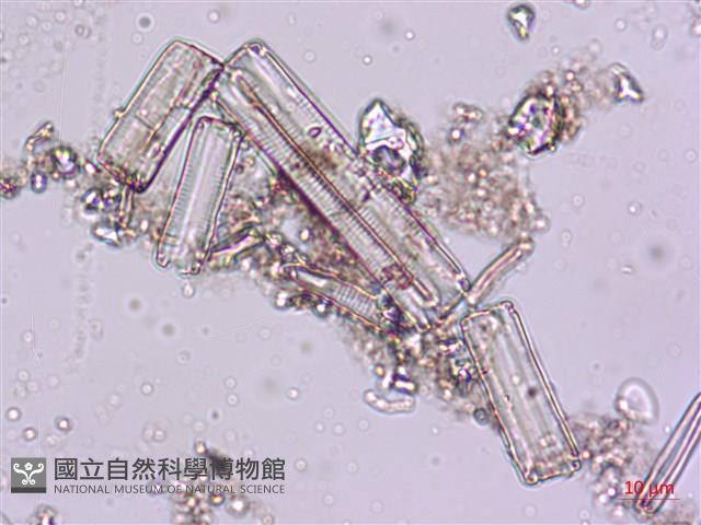 登錄號:A00004621藏品圖，第5張