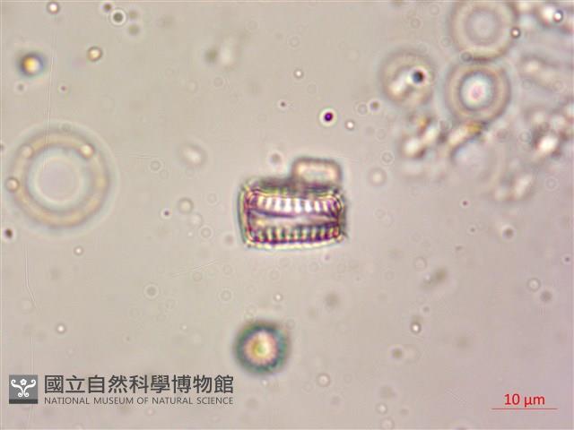 登錄號:A00004611藏品圖，第5張
