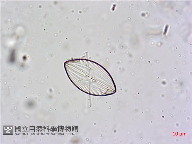 登錄號:A00004601藏品圖，第5張