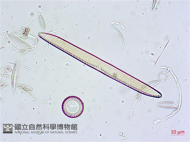 登錄號:A00004630藏品圖，第5張
