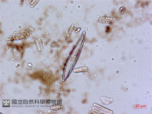 登錄號:A00004553藏品圖，第5張