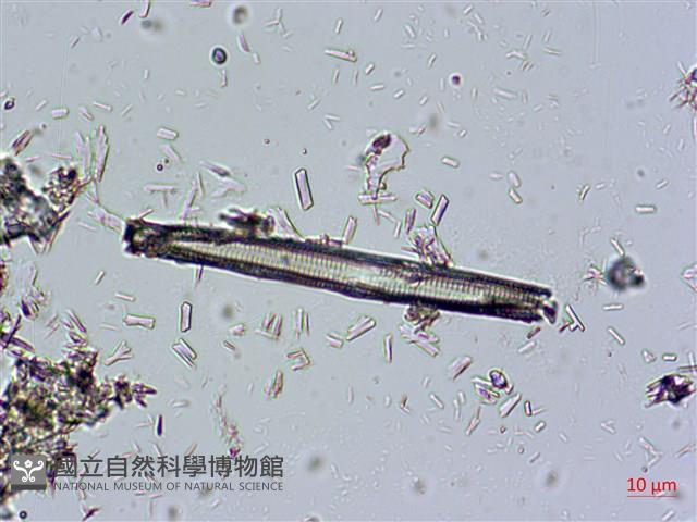 登錄號:A00004673藏品圖，第5張