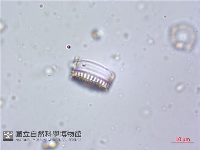 登錄號:A00004613藏品圖，第5張