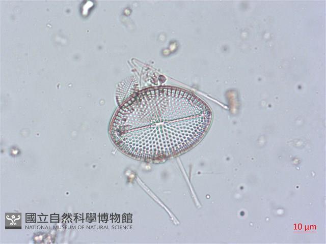 登錄號:A00004513藏品圖，第5張