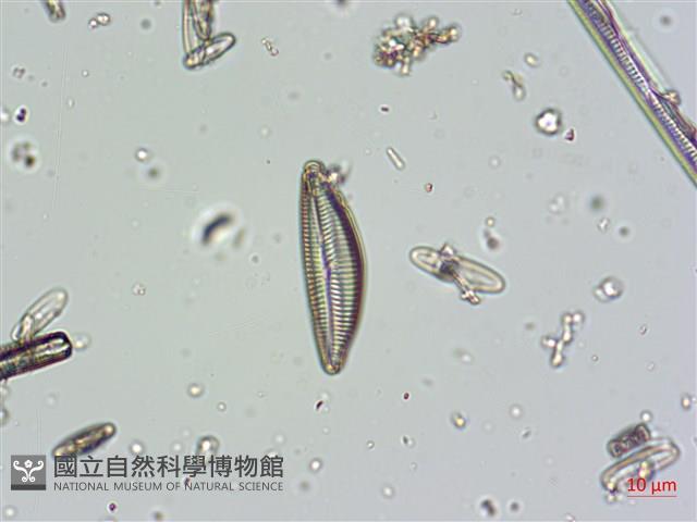 登錄號:A00004663藏品圖，第5張