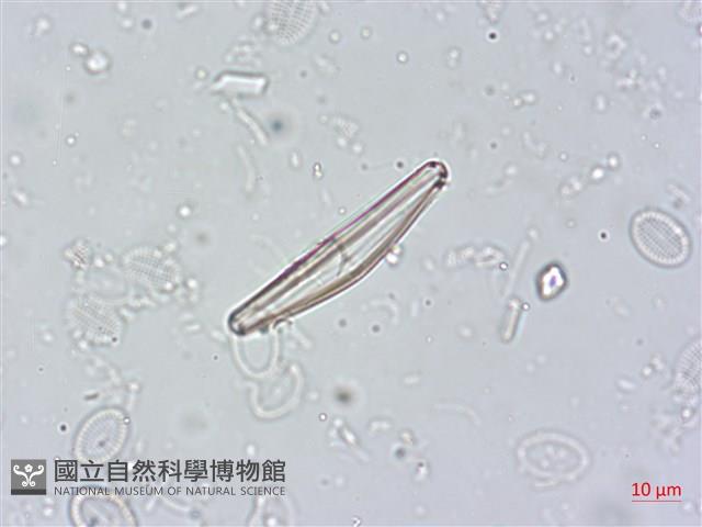登錄號:A00004503藏品圖，第5張