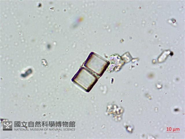 登錄號:A00004672藏品圖，第15張