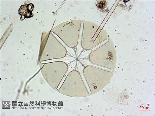 登錄號:A00004656藏品圖，第15張