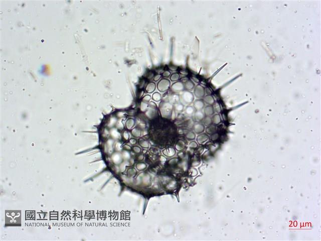 登錄號:A00004654藏品圖，第15張