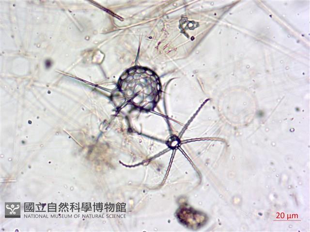 登錄號:A00004655藏品圖，第14張