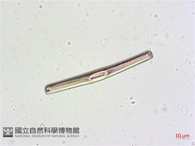 登錄號:A00004632藏品圖，第7張