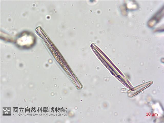 登錄號:A00004622藏品圖，第7張