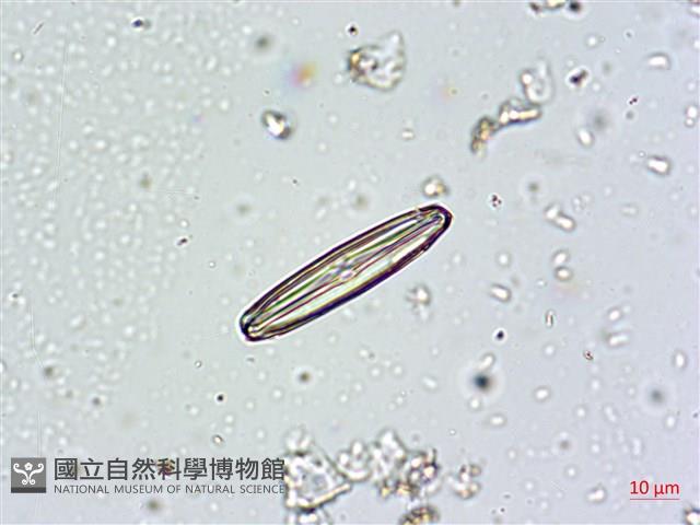 登錄號:A00004672藏品圖，第7張