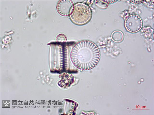 登錄號:A00004612藏品圖，第7張