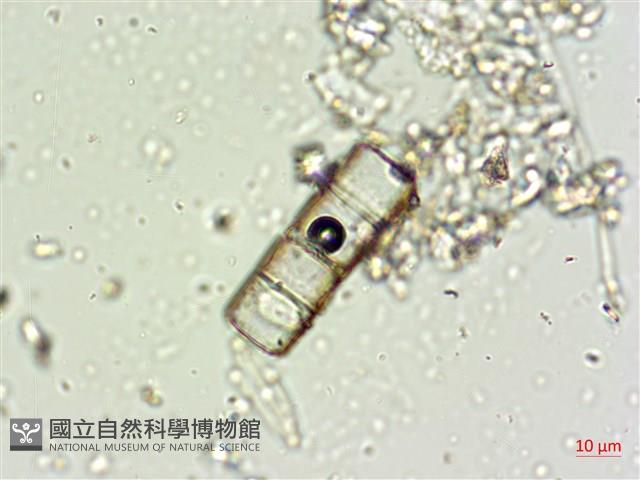 登錄號:A00004662藏品圖，第8張