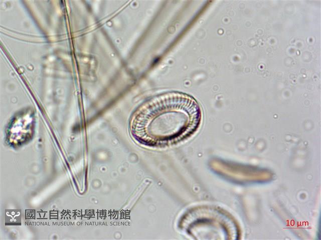 登錄號:A00004638藏品圖，第7張