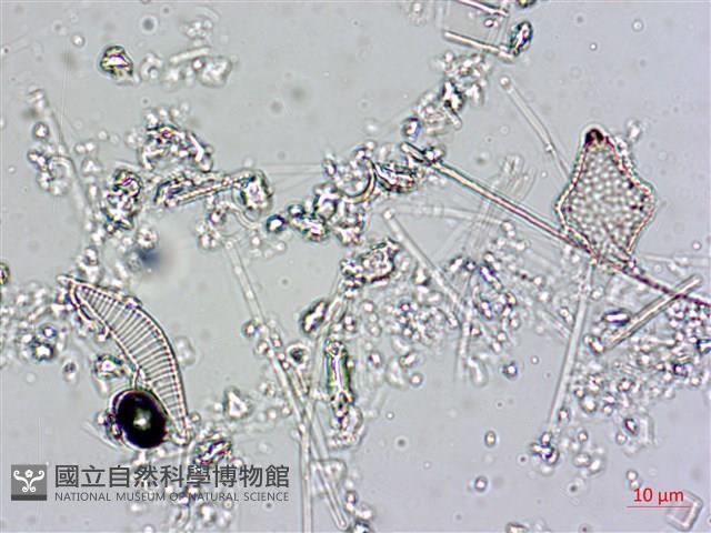 登錄號:A00004558藏品圖，第7張