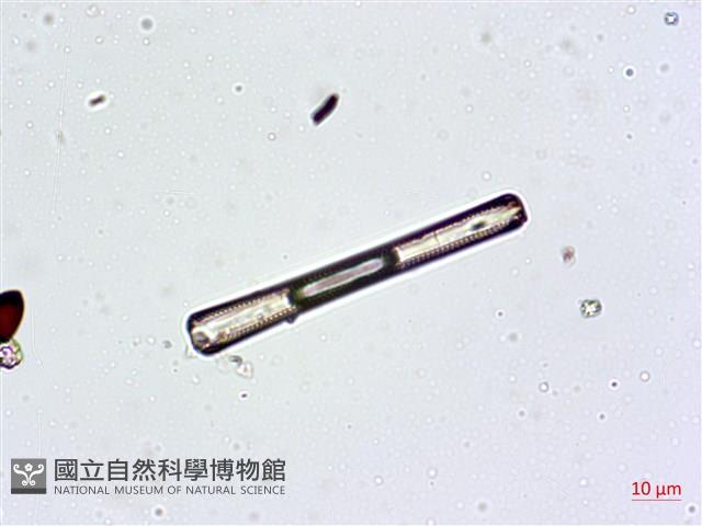 登錄號:A00004628藏品圖，第7張