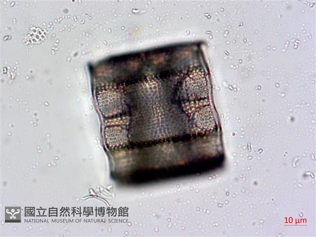 登錄號:A00004478藏品圖，第7張