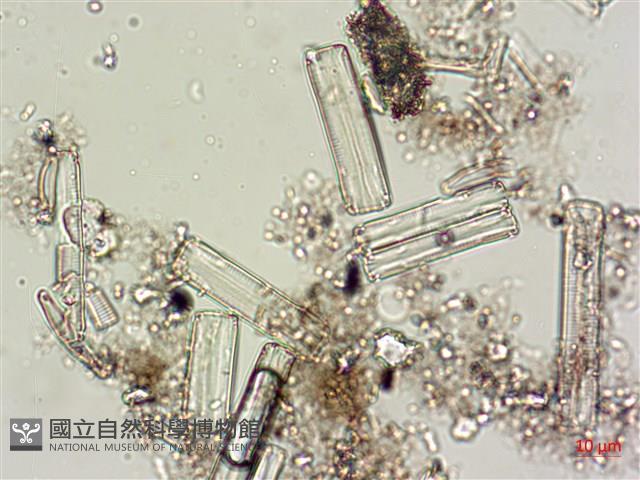 登錄號:A00004618藏品圖，第7張