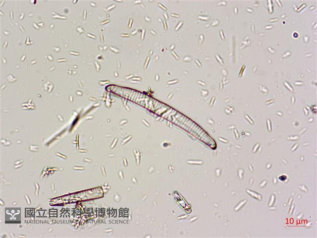 登錄號:A00004668藏品圖，第7張
