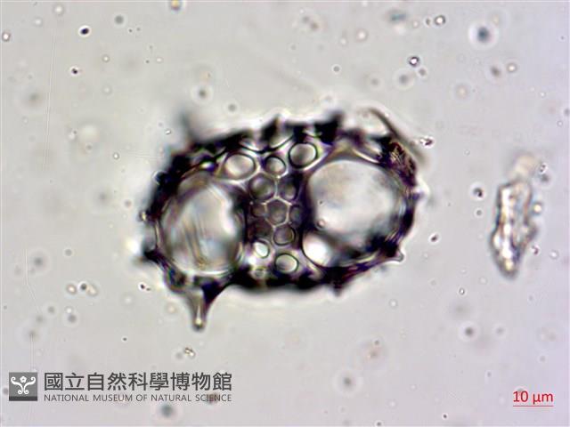 登錄號:A00004659藏品圖，第7張