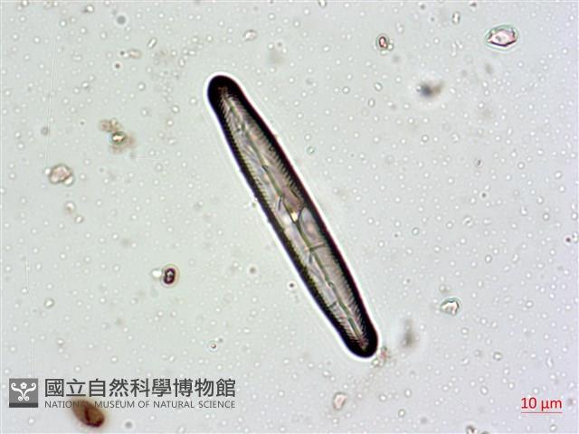 登錄號:A00004629藏品圖，第7張