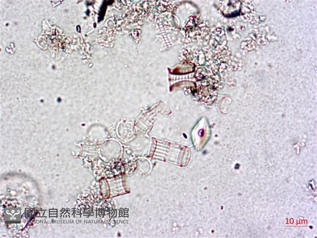 登錄號:A00004649藏品圖，第7張