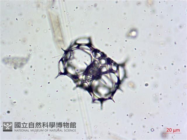 登錄號:A00004656藏品圖，第7張