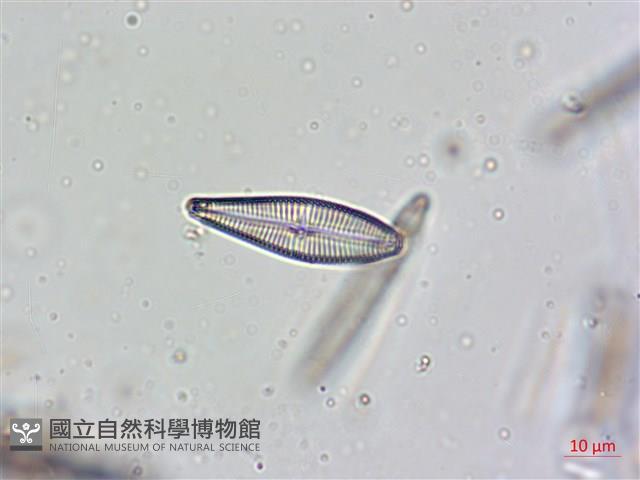 登錄號:A00004624藏品圖，第7張