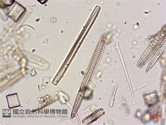 登錄號:A00004574藏品圖，第7張