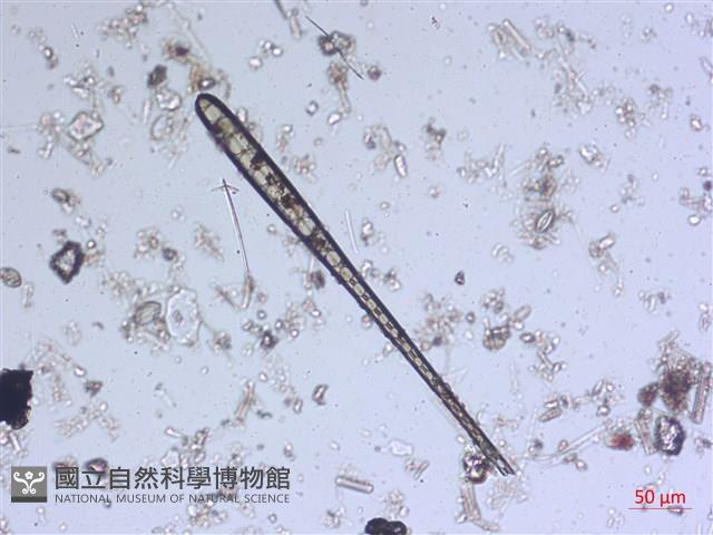 登錄號:A00004544藏品圖，第7張