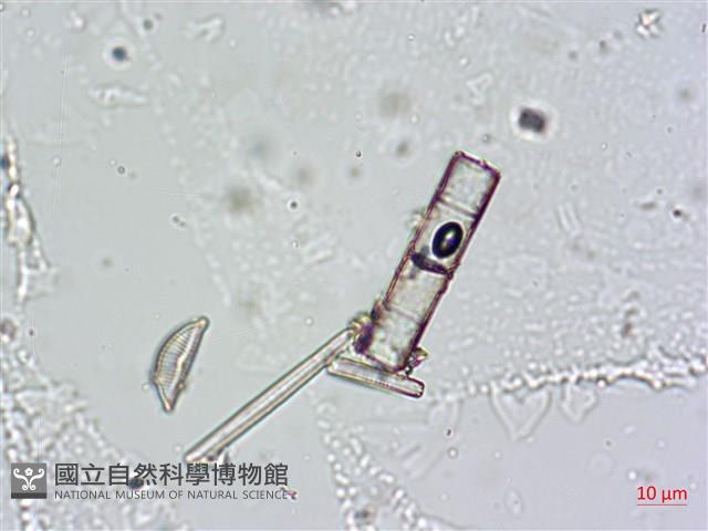 登錄號:A00004664藏品圖，第7張