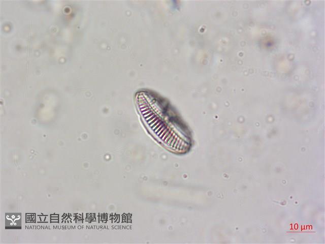 登錄號:A00004604藏品圖，第7張