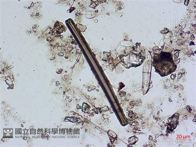 登錄號:A00004537藏品圖，第7張