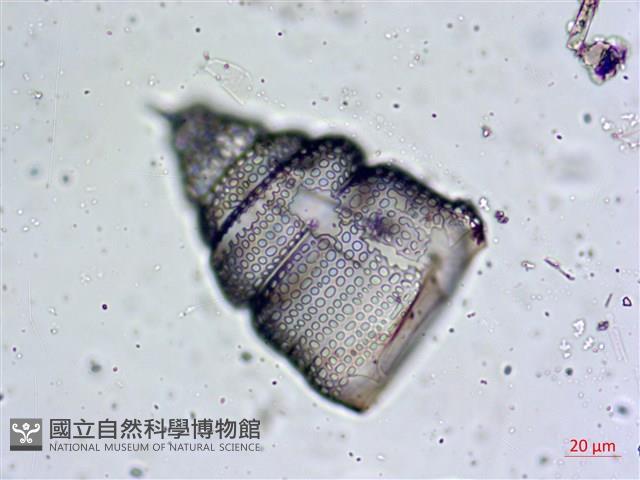 登錄號:A00004657藏品圖，第7張