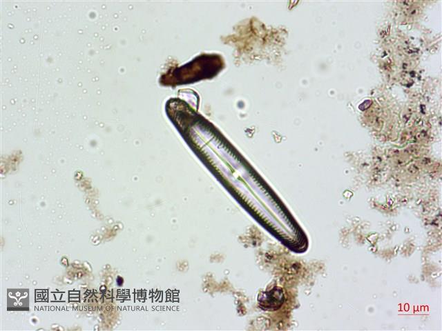 登錄號:A00004627藏品圖，第7張