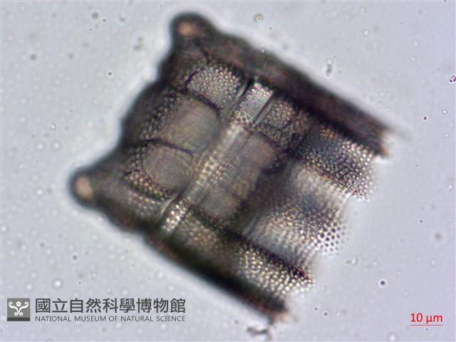 登錄號:A00004477藏品圖，第7張